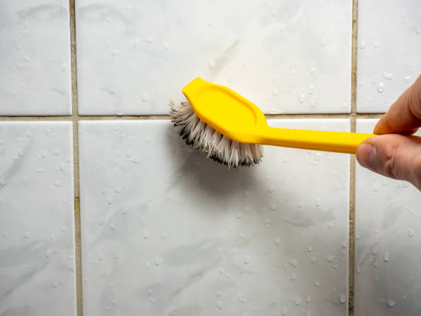 Best Mold Remediation  in Valley Springs, CA