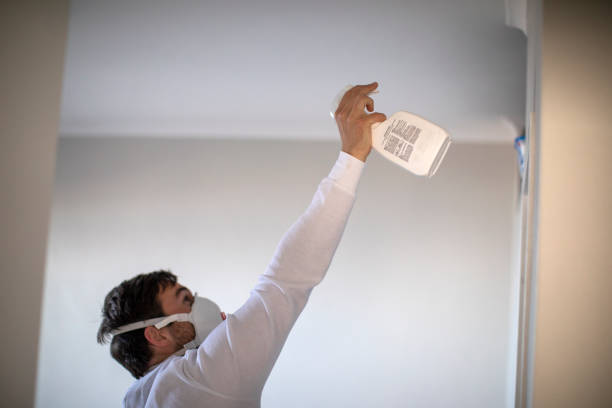 Best Professional Mold Removal  in Valley Springs, CA