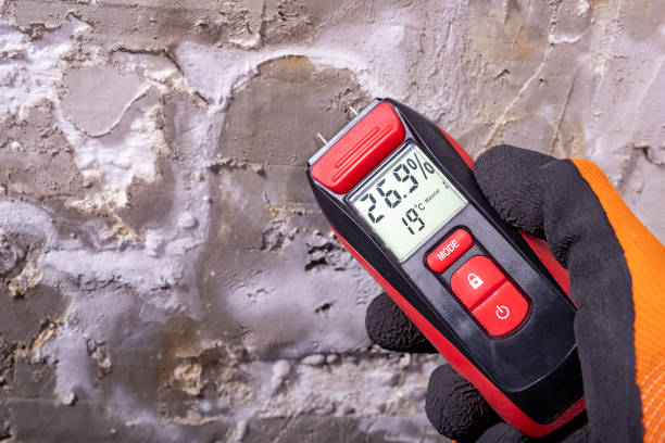 Best Mold Removal Specialists  in Valley Springs, CA