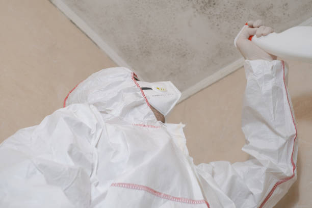 Best Crawl Space Mold Removal  in Valley Springs, CA