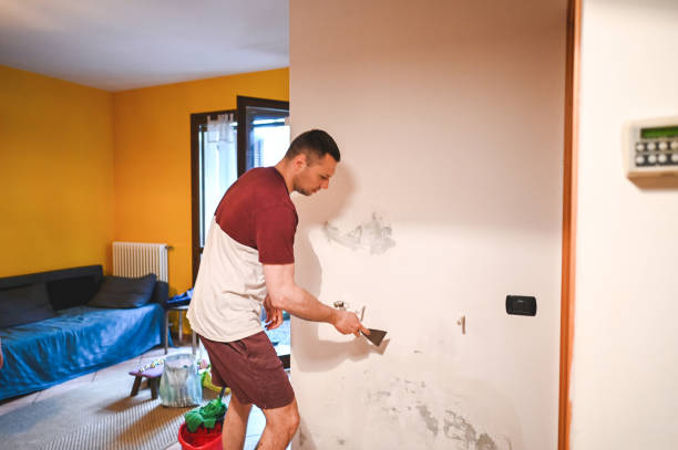 Best Mold Cleaning Services  in Valley Springs, CA